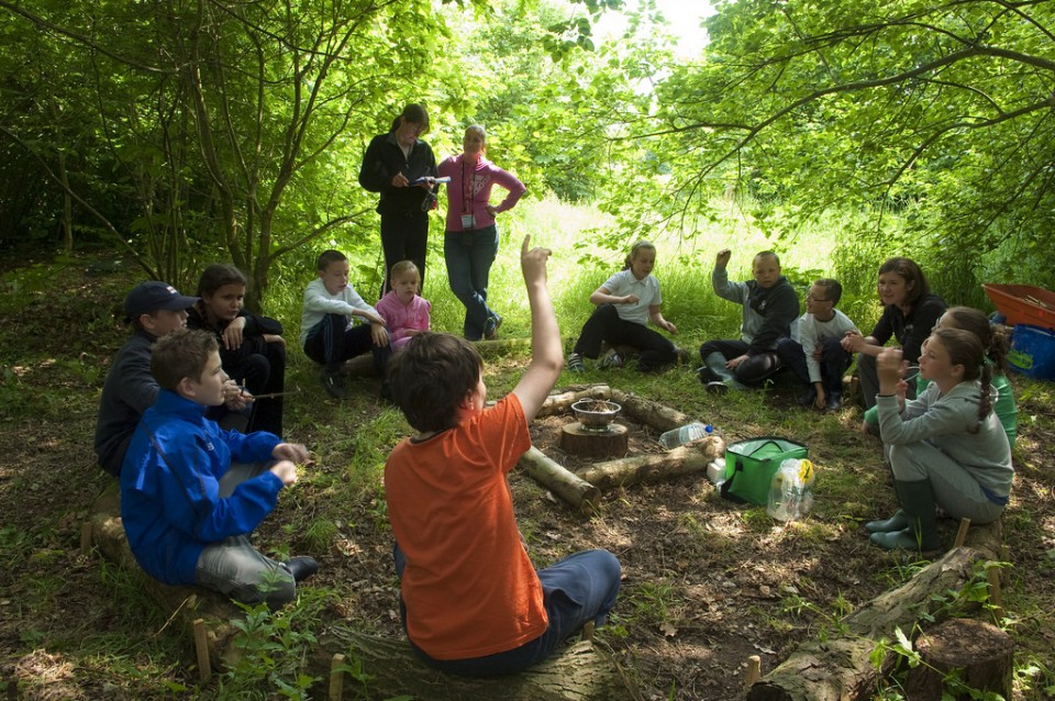 Экологическая игра школа. Детский лагерь в лесу. Дети в лагере. Экология детский лагерь. Экологический летний лагерь.